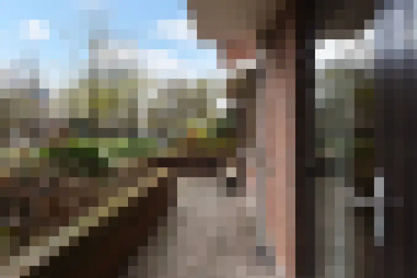 Scheveningseweg 29 Den Haag thumbnail 24
