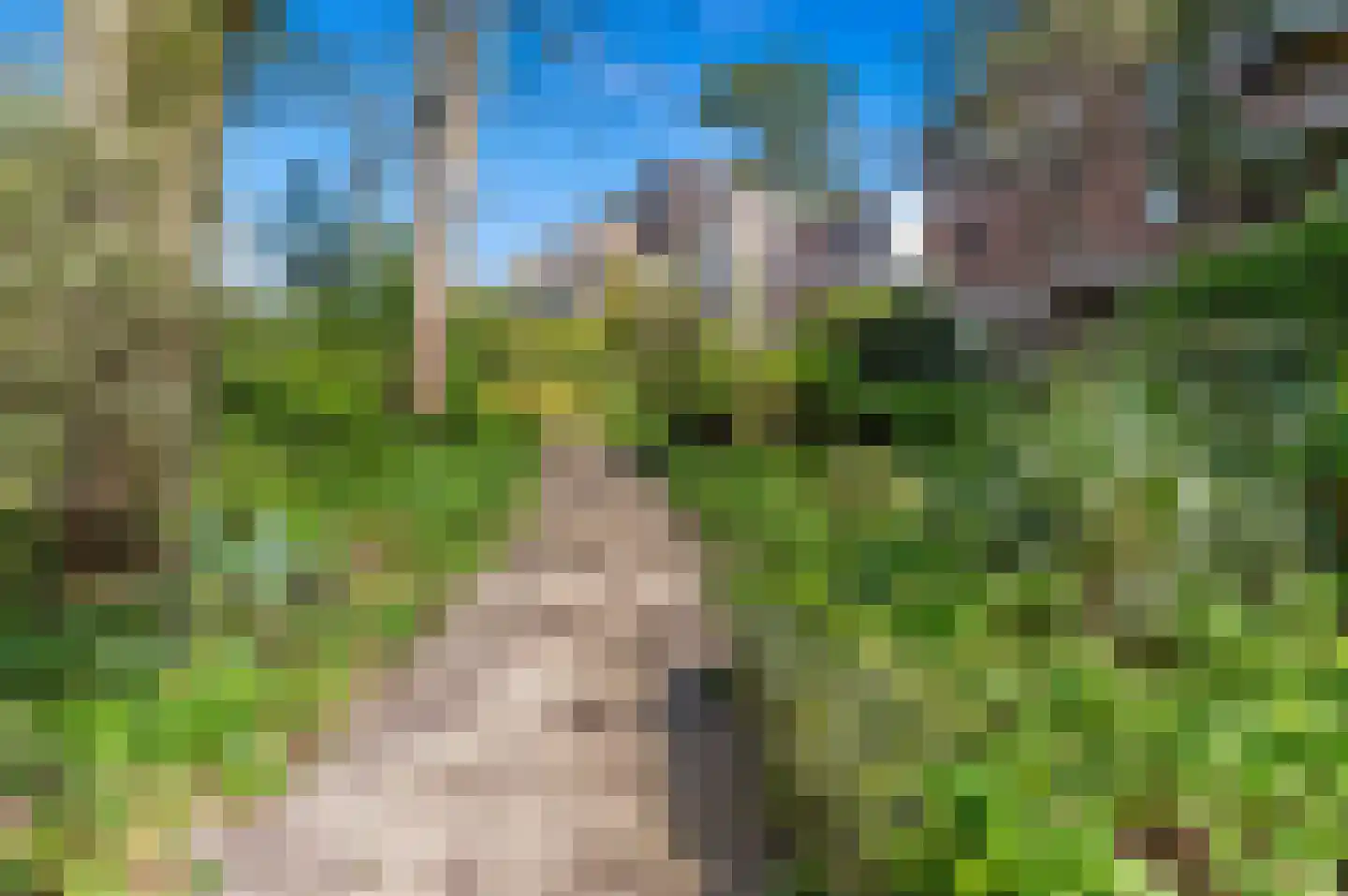 Scheveningseweg 33 Den Haag thumbnail 5
