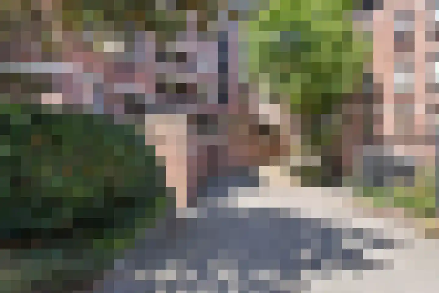 Scheveningseweg 35 Den Haag thumbnail 25