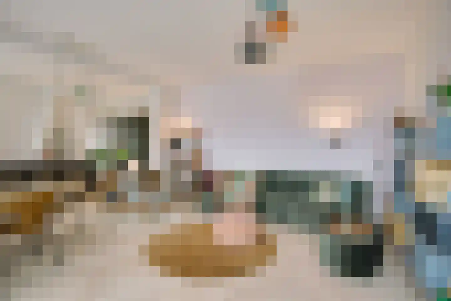 Scheveningseweg 50 G Den Haag thumbnail 10