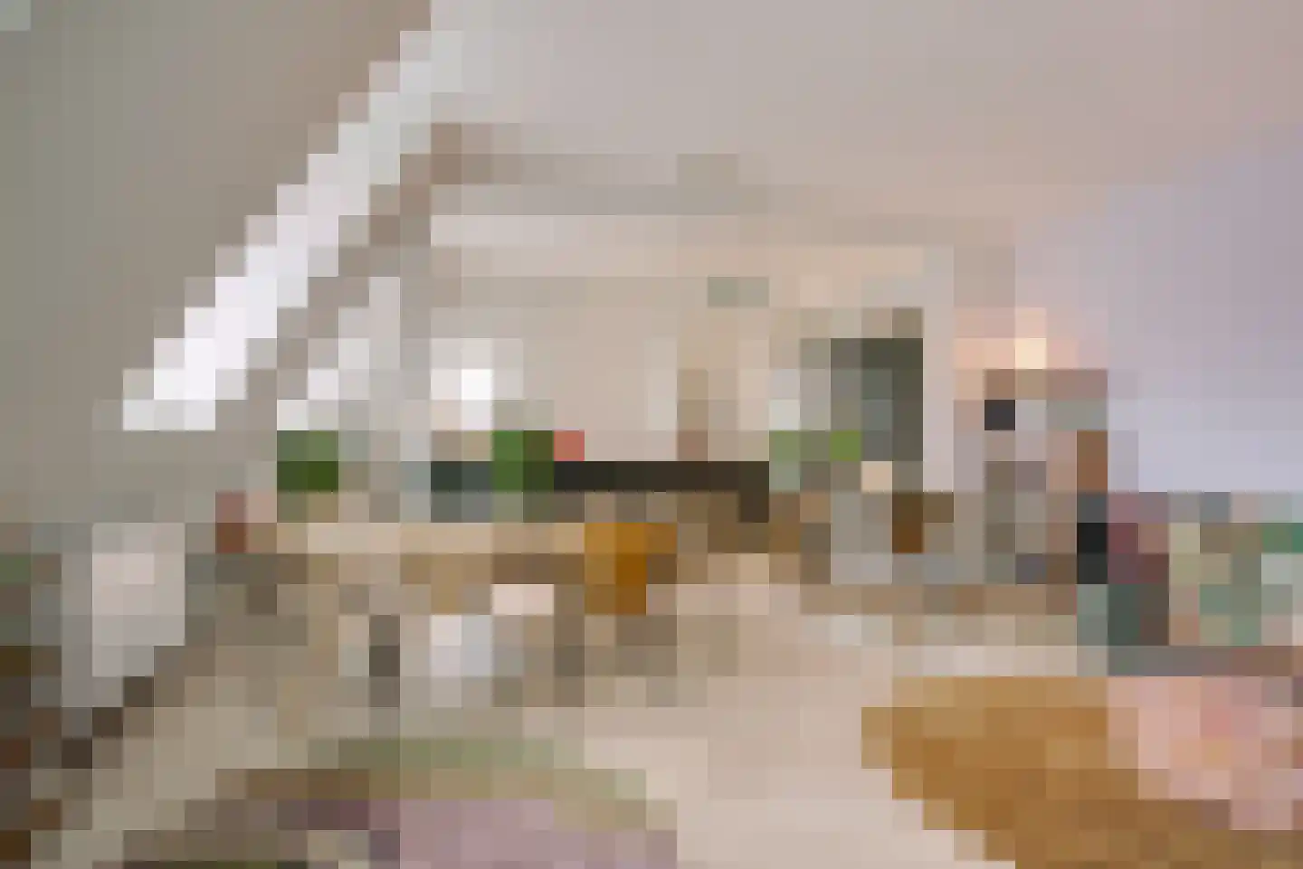 Scheveningseweg 50 G Den Haag thumbnail 11