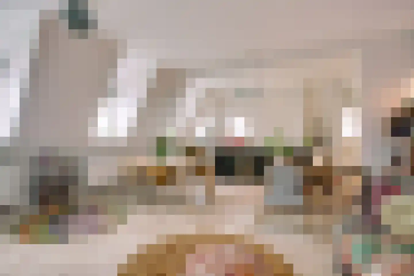 Scheveningseweg 50 G Den Haag thumbnail 12