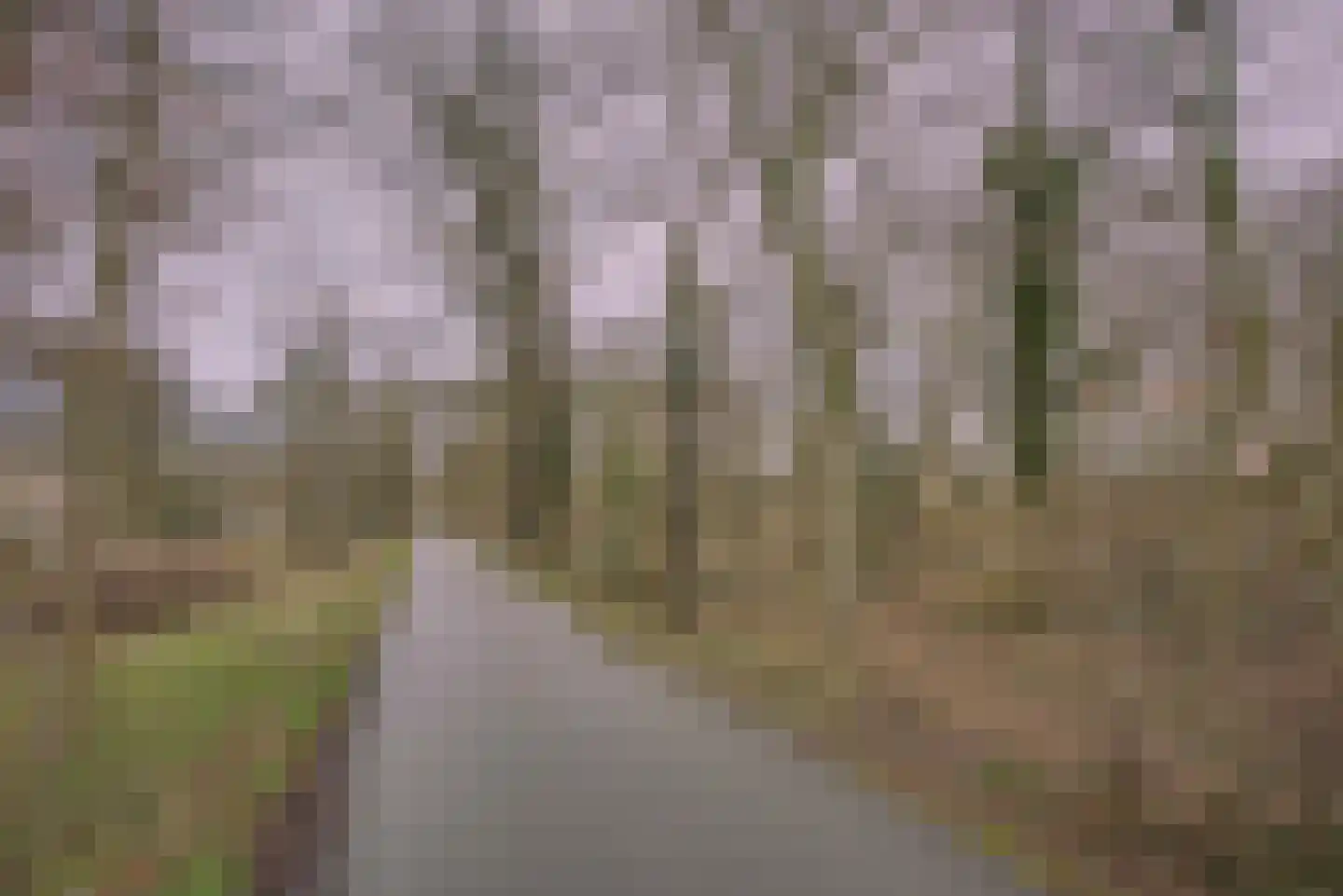 Scheveningseweg 50 G Den Haag thumbnail 25