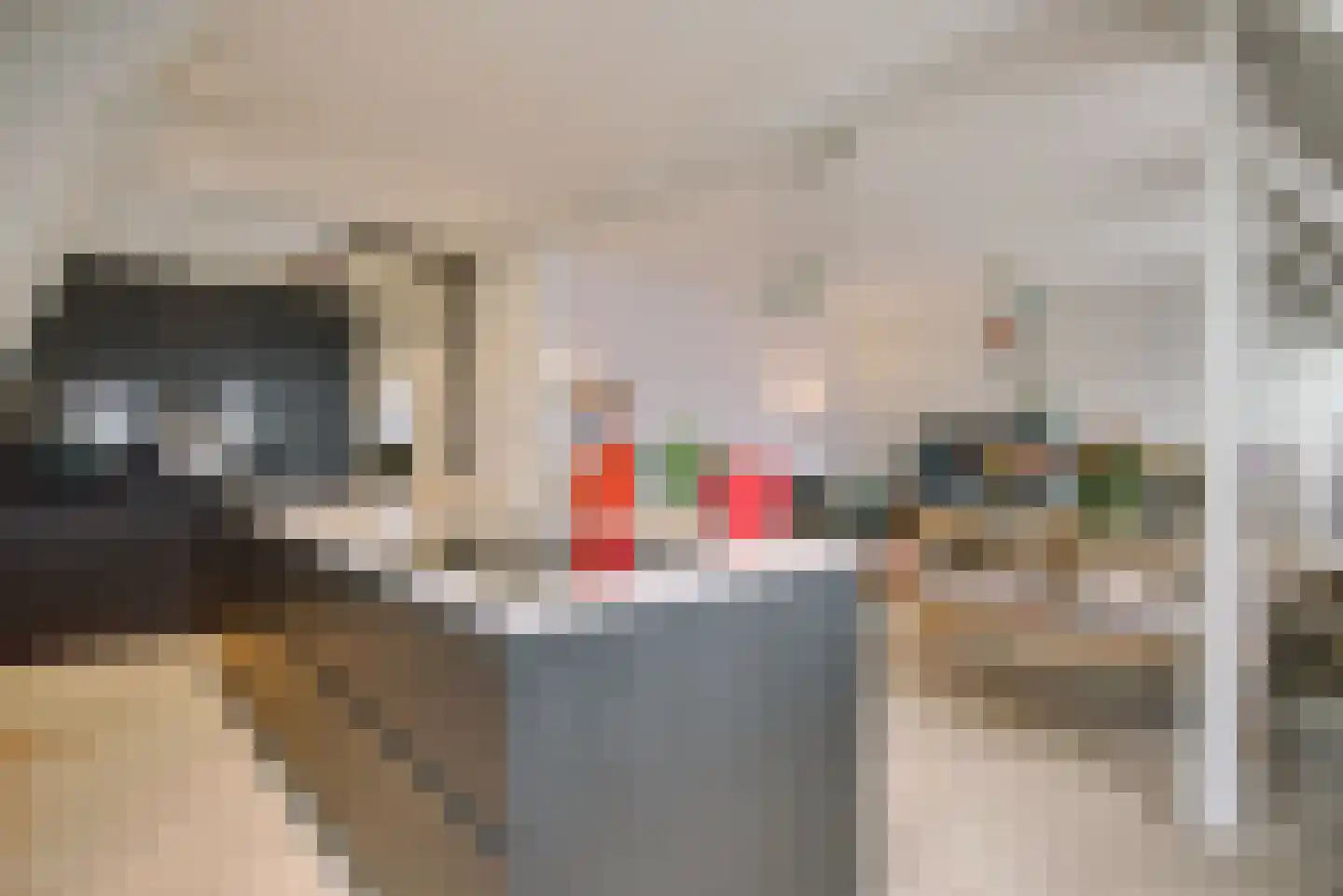 Scheveningseweg 50 G Den Haag thumbnail 7