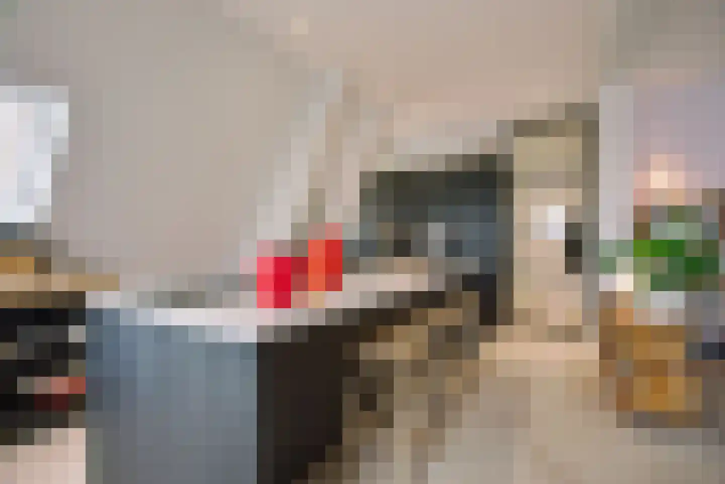 Scheveningseweg 50 G Den Haag thumbnail 9