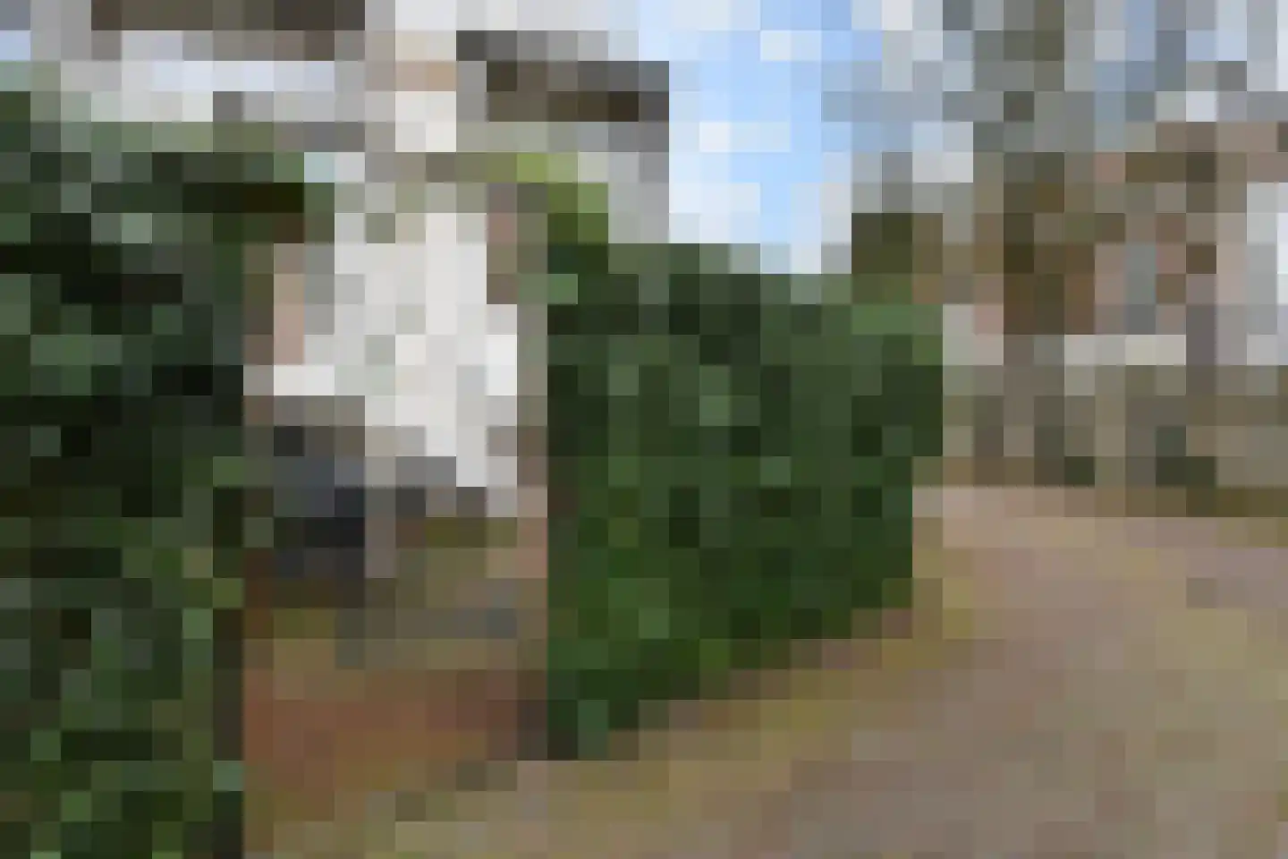 Scheveningseweg 6 B Den Haag thumbnail 30