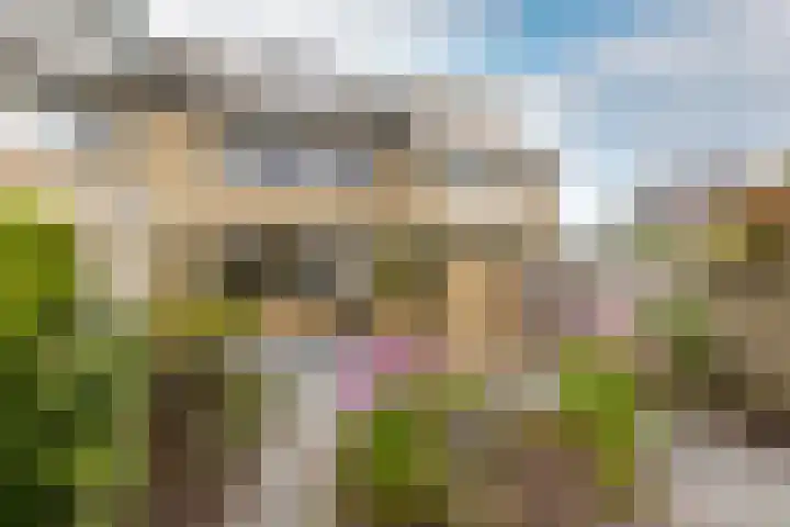 Schevenstraat 36 's-Gravendeel thumbnail 4