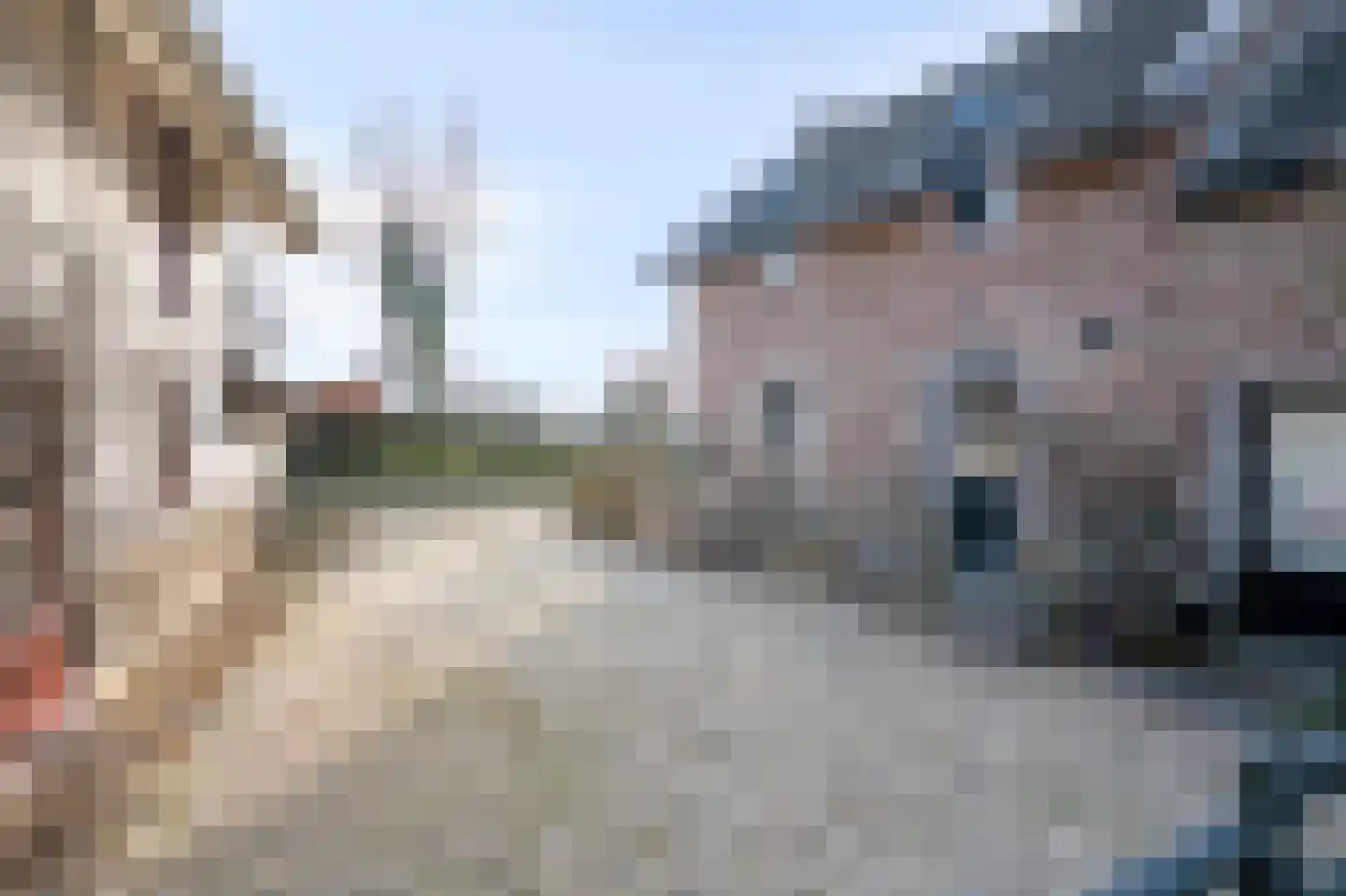 Schey 9 Noorbeek thumbnail 21