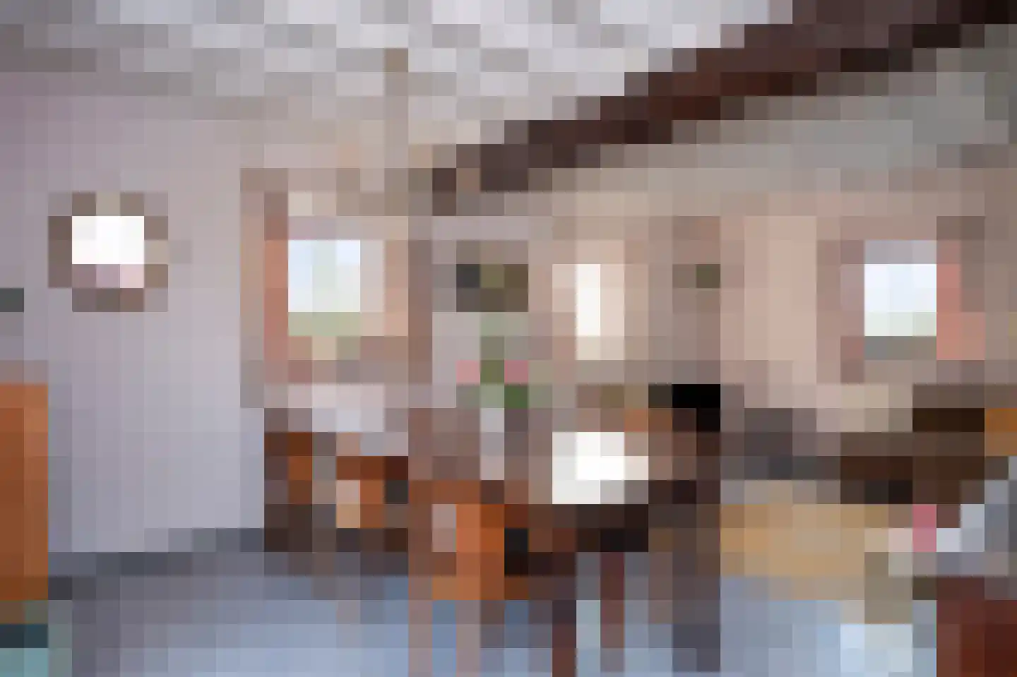 Schey 9 Noorbeek thumbnail 4