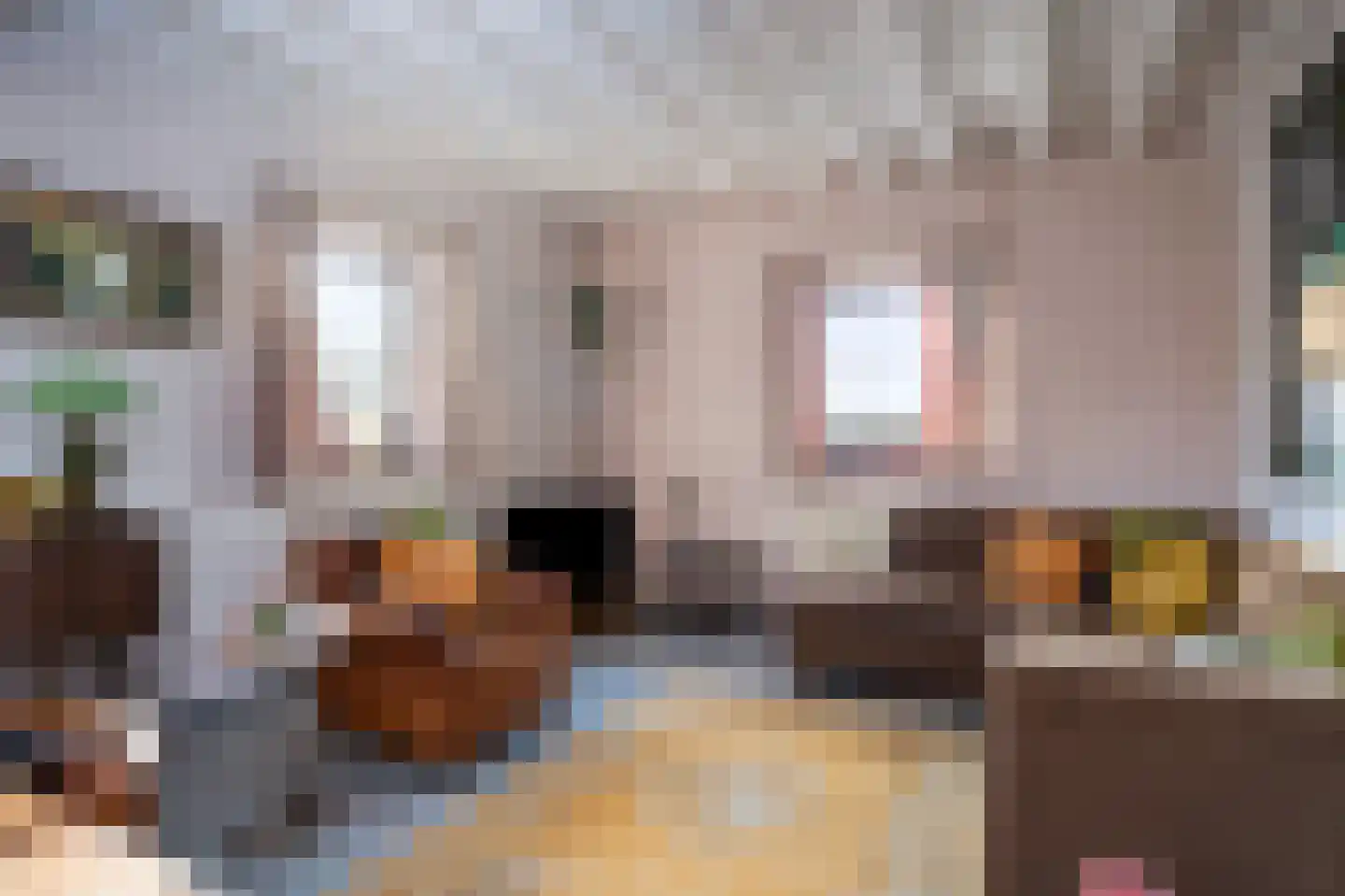 Schey 9 Noorbeek thumbnail 6