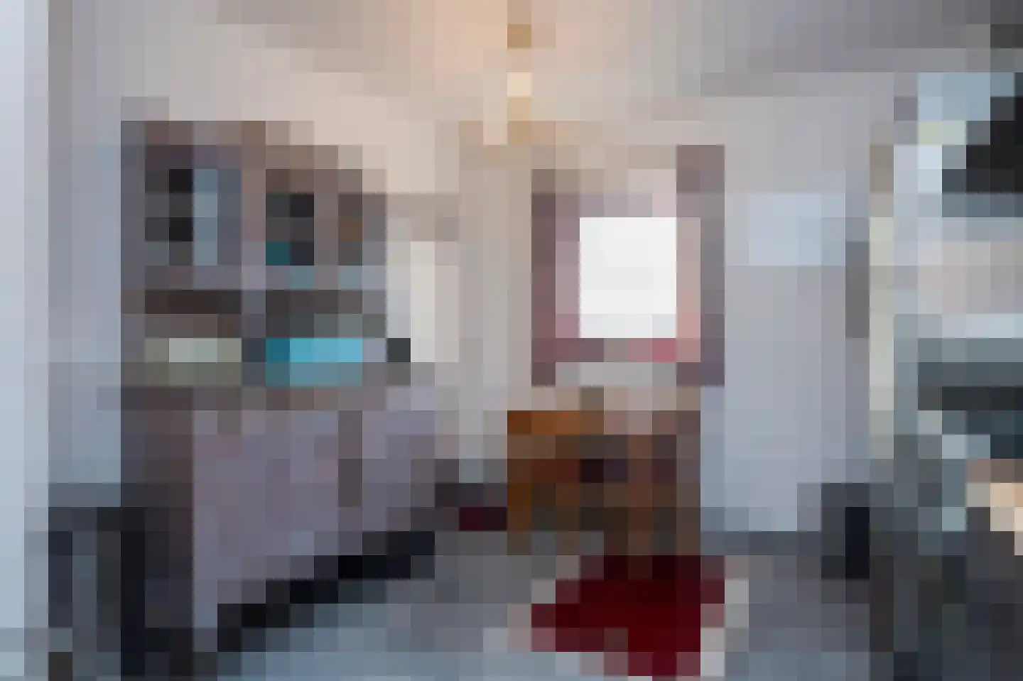 Schey 9 Noorbeek thumbnail 9