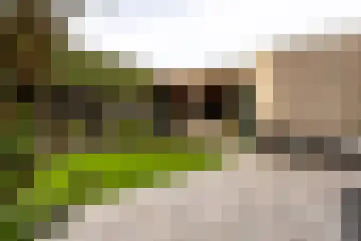 Scheygrondplantsoen 11 Gouda thumbnail 6