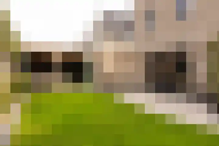 Scheygrondplantsoen 11 Gouda thumbnail 62