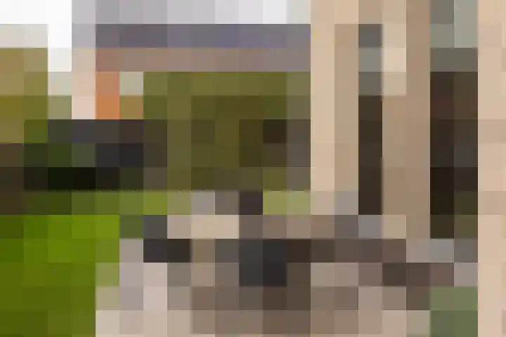 Scheygrondplantsoen 11 Gouda thumbnail 63