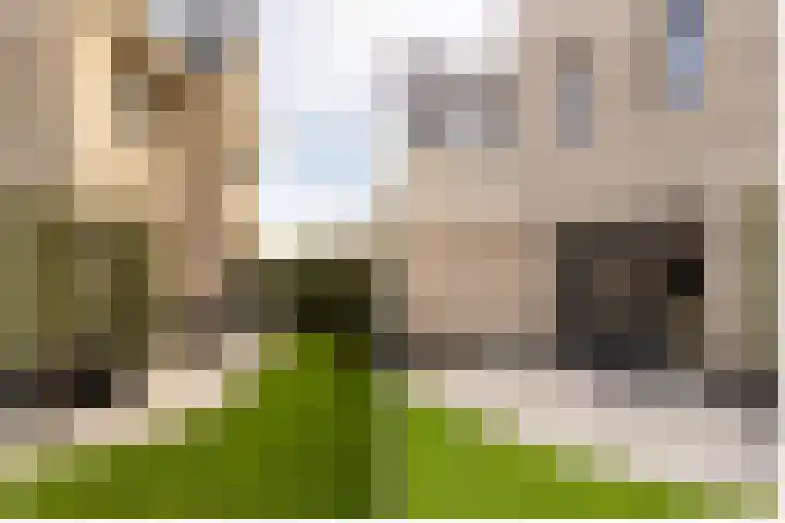 Scheygrondplantsoen 11 Gouda thumbnail 64