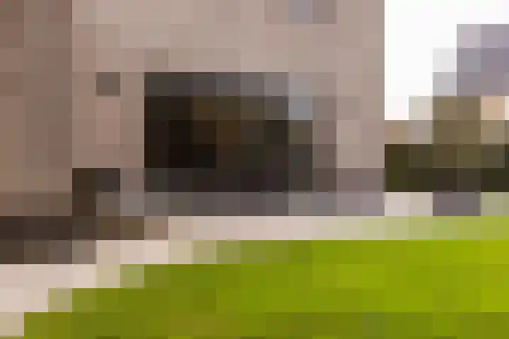 Scheygrondplantsoen 11 Gouda thumbnail 65