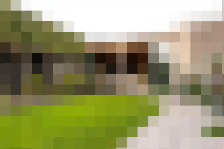 Scheygrondplantsoen 11 Gouda thumbnail 66