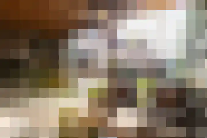 Scheygrondplantsoen 11 Gouda thumbnail 68