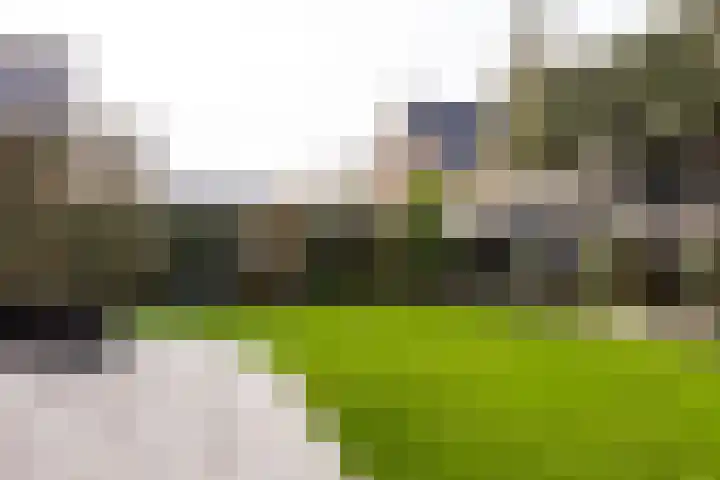 Scheygrondplantsoen 11 Gouda thumbnail 69