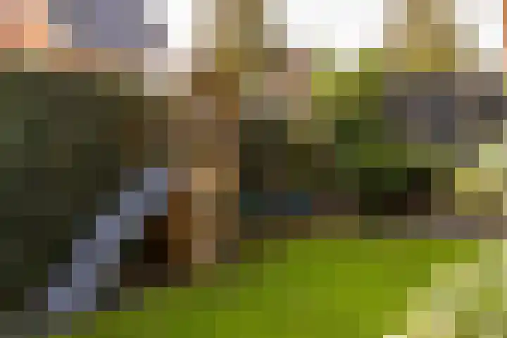 Scheygrondplantsoen 11 Gouda thumbnail 70