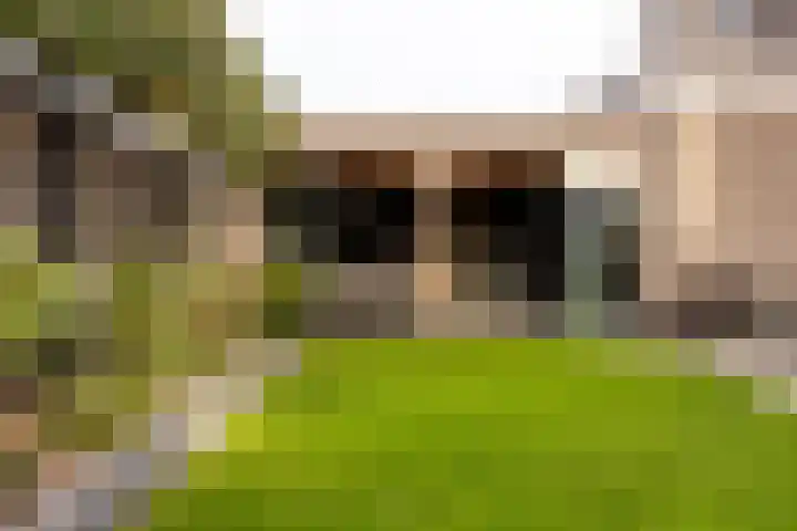 Scheygrondplantsoen 11 Gouda thumbnail 71