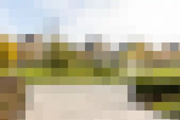 Scheygrondplantsoen 11 Gouda thumbnail 74
