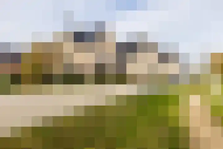 Scheygrondplantsoen 11 Gouda thumbnail 76