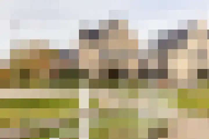 Scheygrondplantsoen 11 Gouda thumbnail 77
