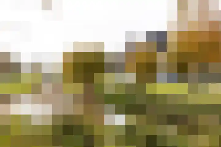 Scheygrondplantsoen 11 Gouda thumbnail 80