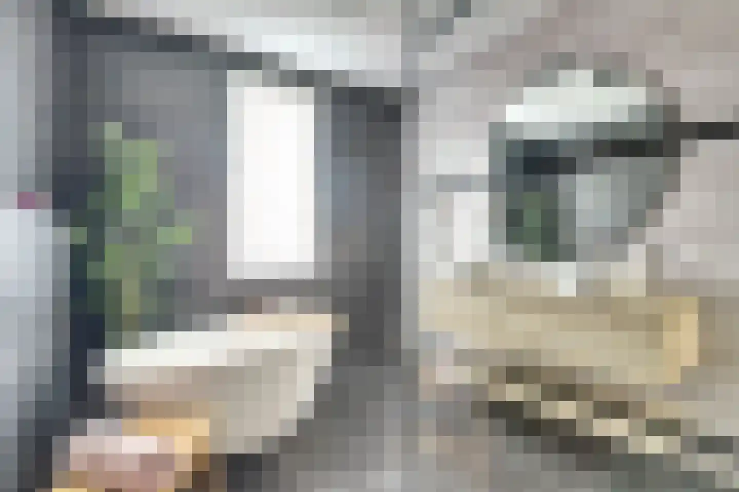 Scheygrondplantsoen 9 Gouda thumbnail 29