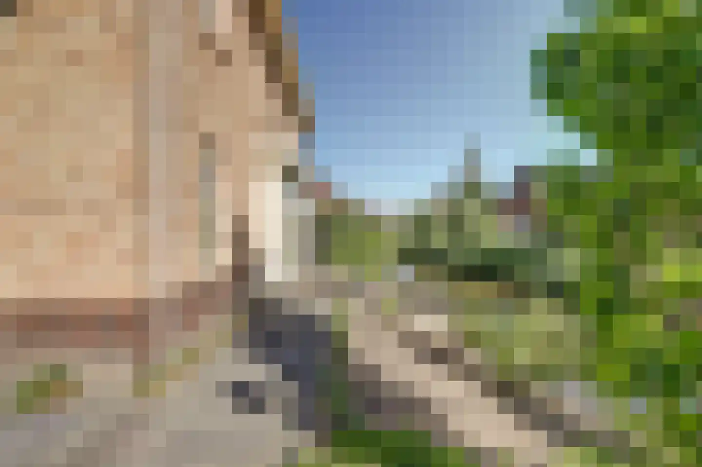 Scheygrondplantsoen 9 Gouda thumbnail 43