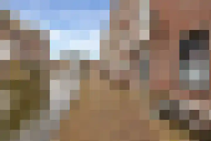 Schie 126 Schiedam thumbnail 5