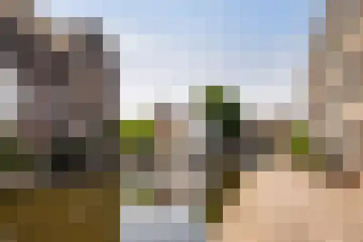 Schie 150 Schiedam thumbnail 21