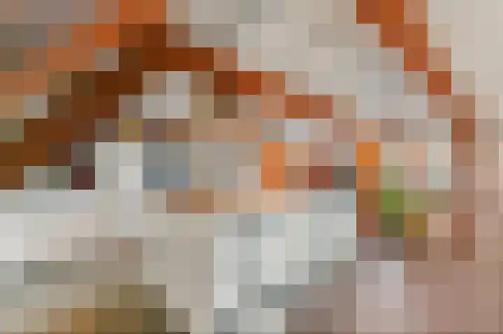 Schie 17 A Schiedam foto 3