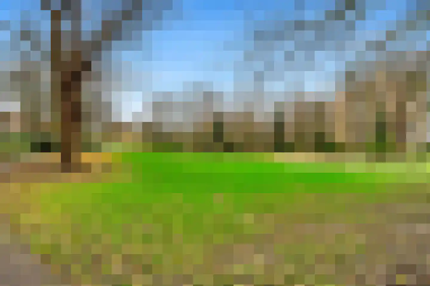 Schie 17 B Schiedam thumbnail 48