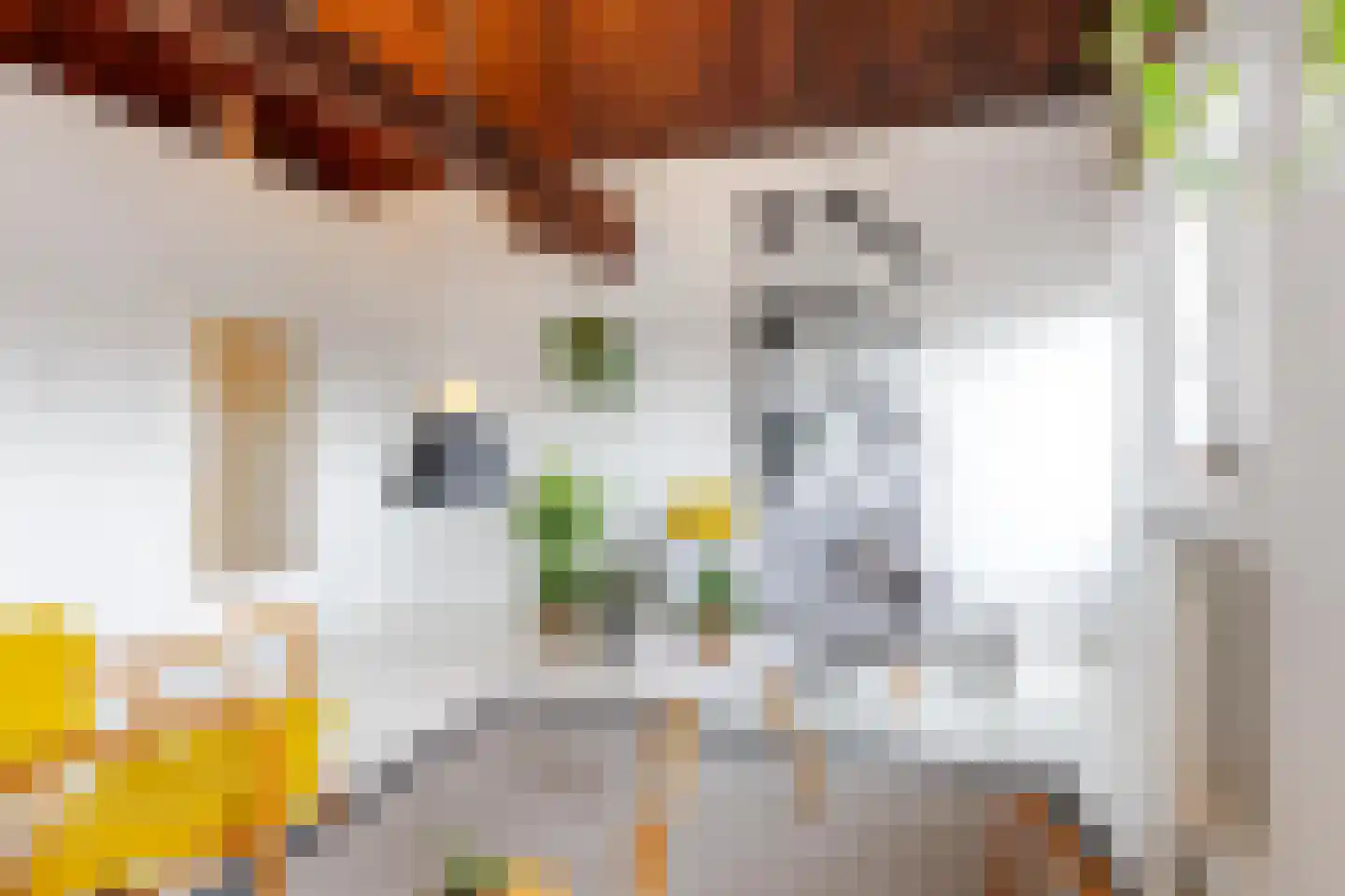 Schie 17 E Schiedam thumbnail 11