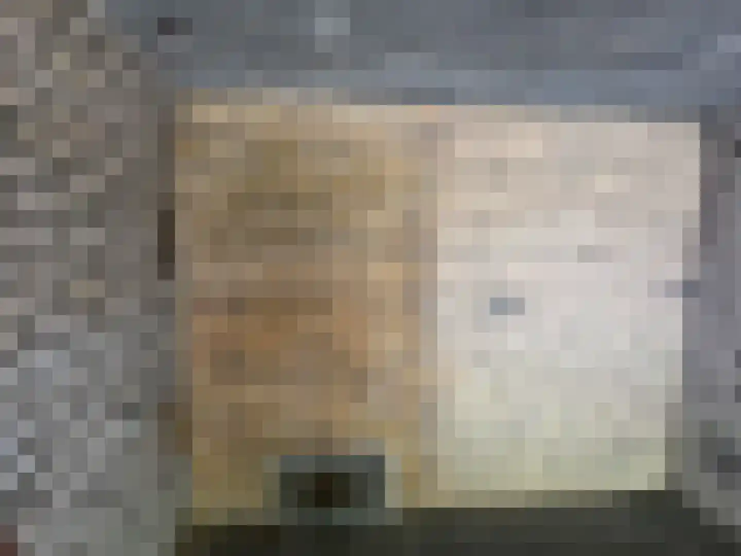 Schie 2 G3 Zwolle thumbnail 5