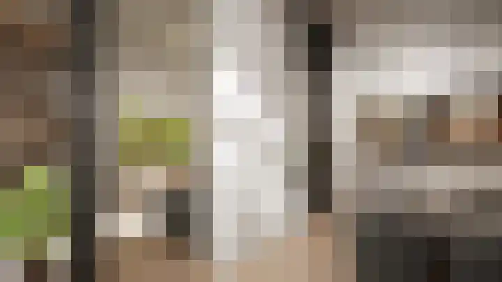 Schie 21 Schiedam thumbnail 4