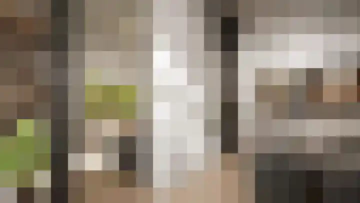 Schie 25 Schiedam thumbnail 8