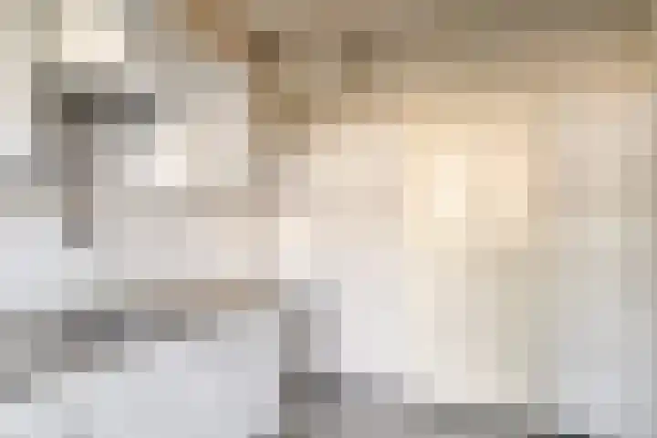 Schie 32 Zwolle thumbnail 10