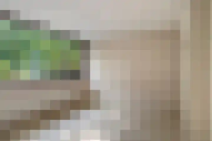Schie 32 Zwolle thumbnail 13