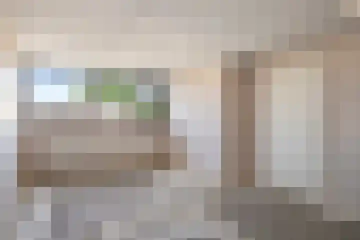 Schie 32 Zwolle thumbnail 23