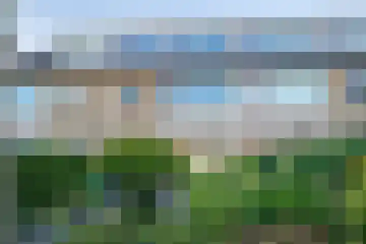 Schie 32 Zwolle thumbnail 25