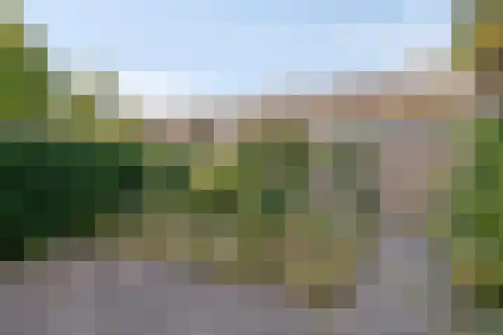 Schie 32 Zwolle thumbnail 26