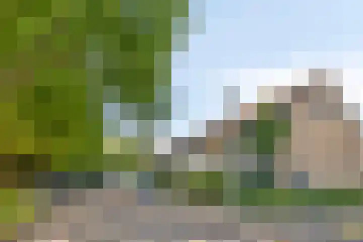 Schie 32 Zwolle thumbnail 4