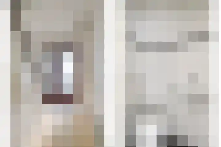 Schie 32 Zwolle thumbnail 6