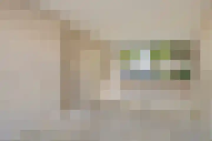 Schie 32 Zwolle thumbnail 7