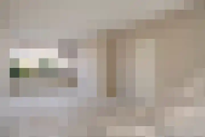 Schie 32 Zwolle thumbnail 8