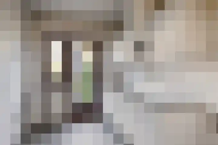 Schie 32 Zwolle thumbnail 9
