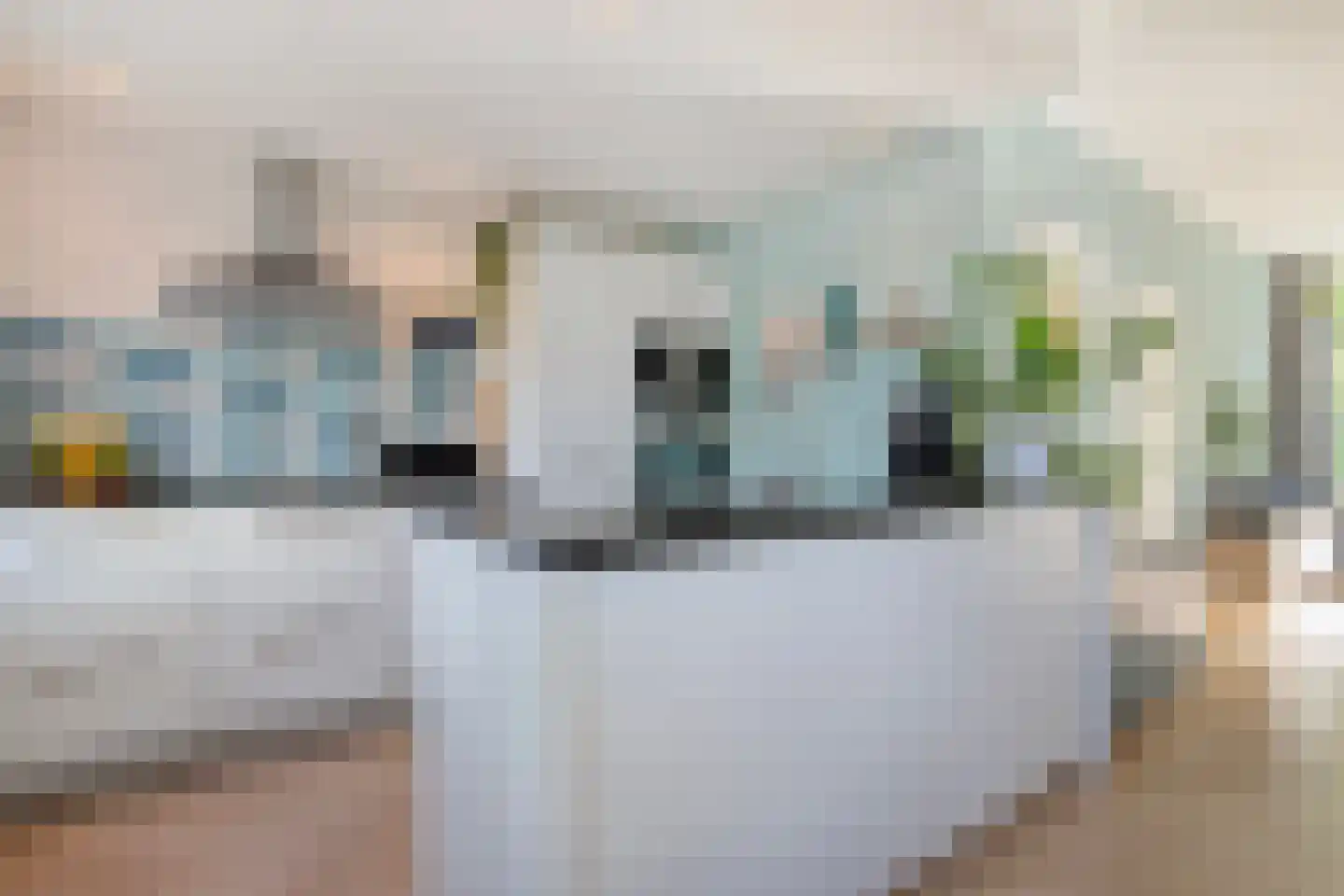 Schie 40 Zwolle thumbnail 13